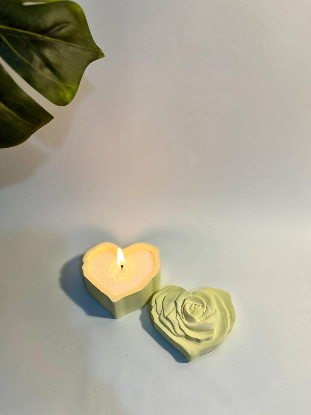 L’Rose – Concrete Vessel | Moonglow