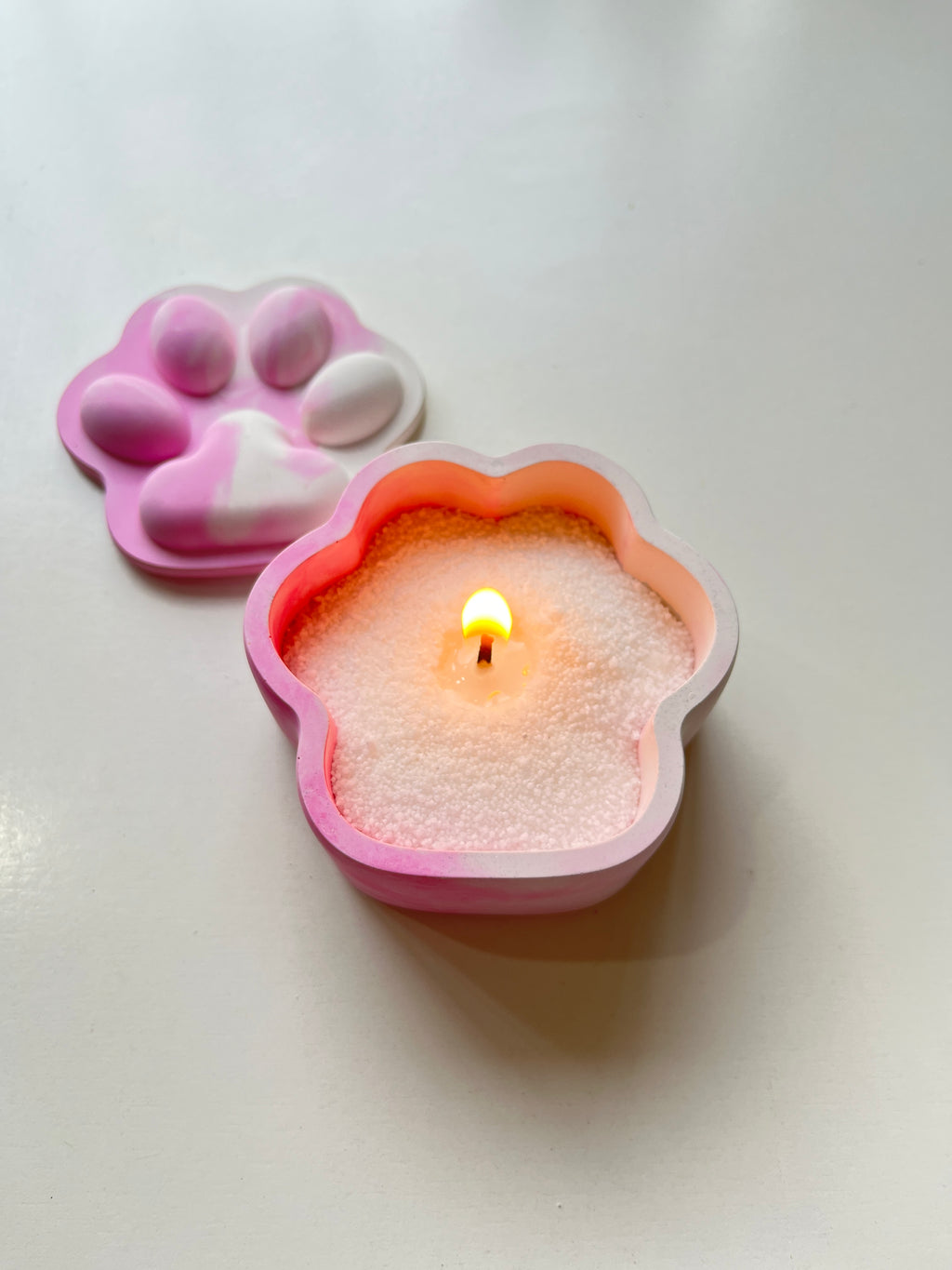 Pup-Prazzi – Concrete Vessel | Moonglow