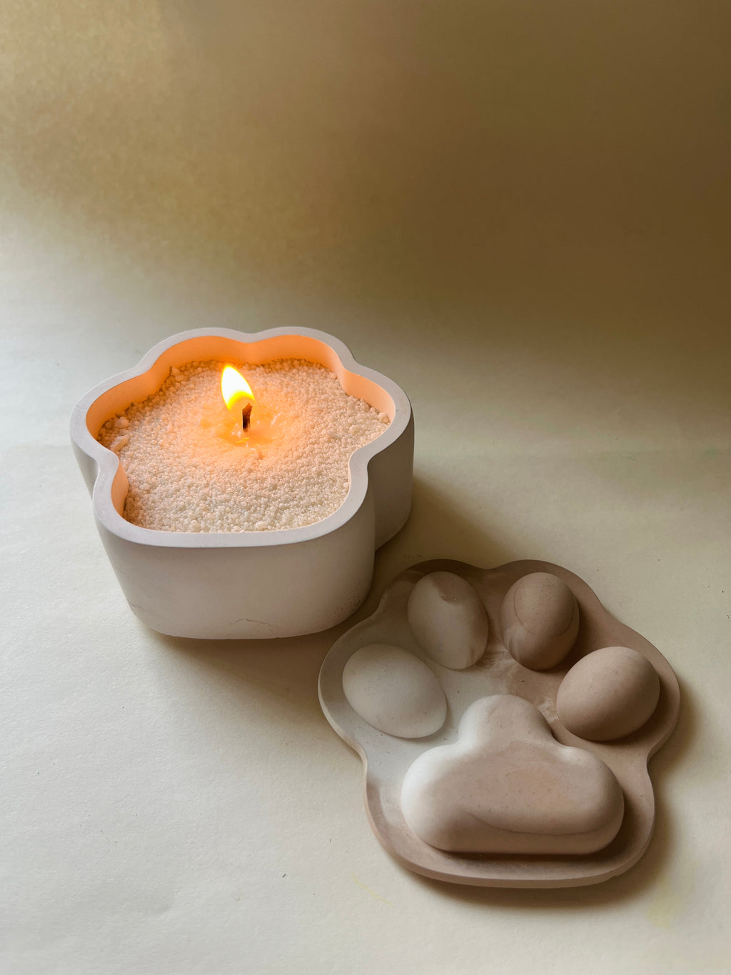 Pup-Prazzi – Concrete Vessel | Moonglow