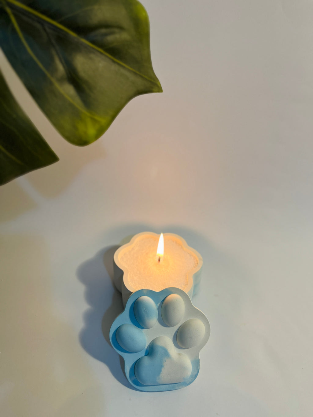 Pup-Prazzi – Concrete Vessel | Moonglow