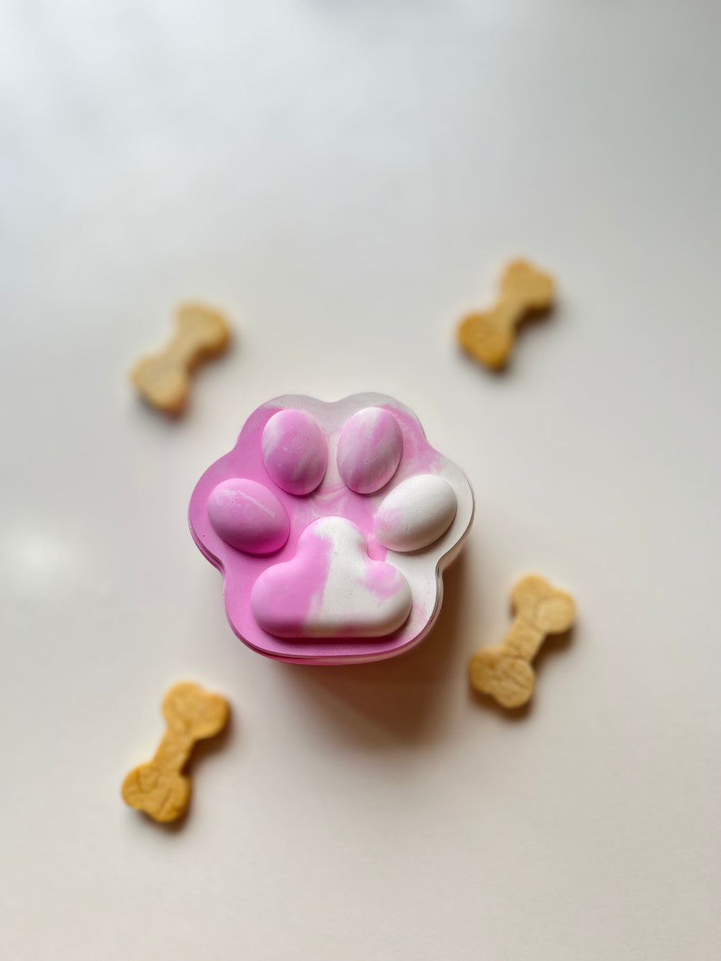 Pup-Prazzi – Concrete Vessel | Moonglow