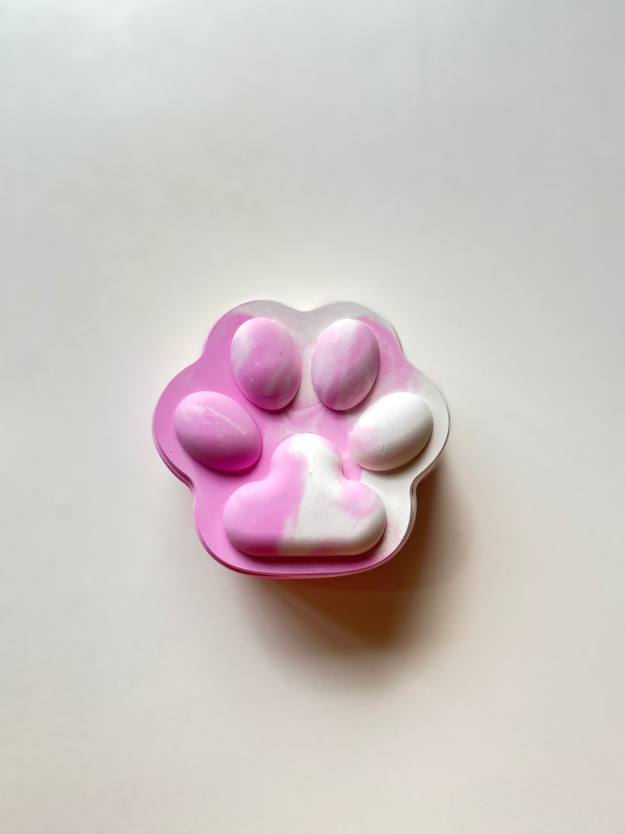 Pup-Prazzi – Concrete Vessel | Moonglow