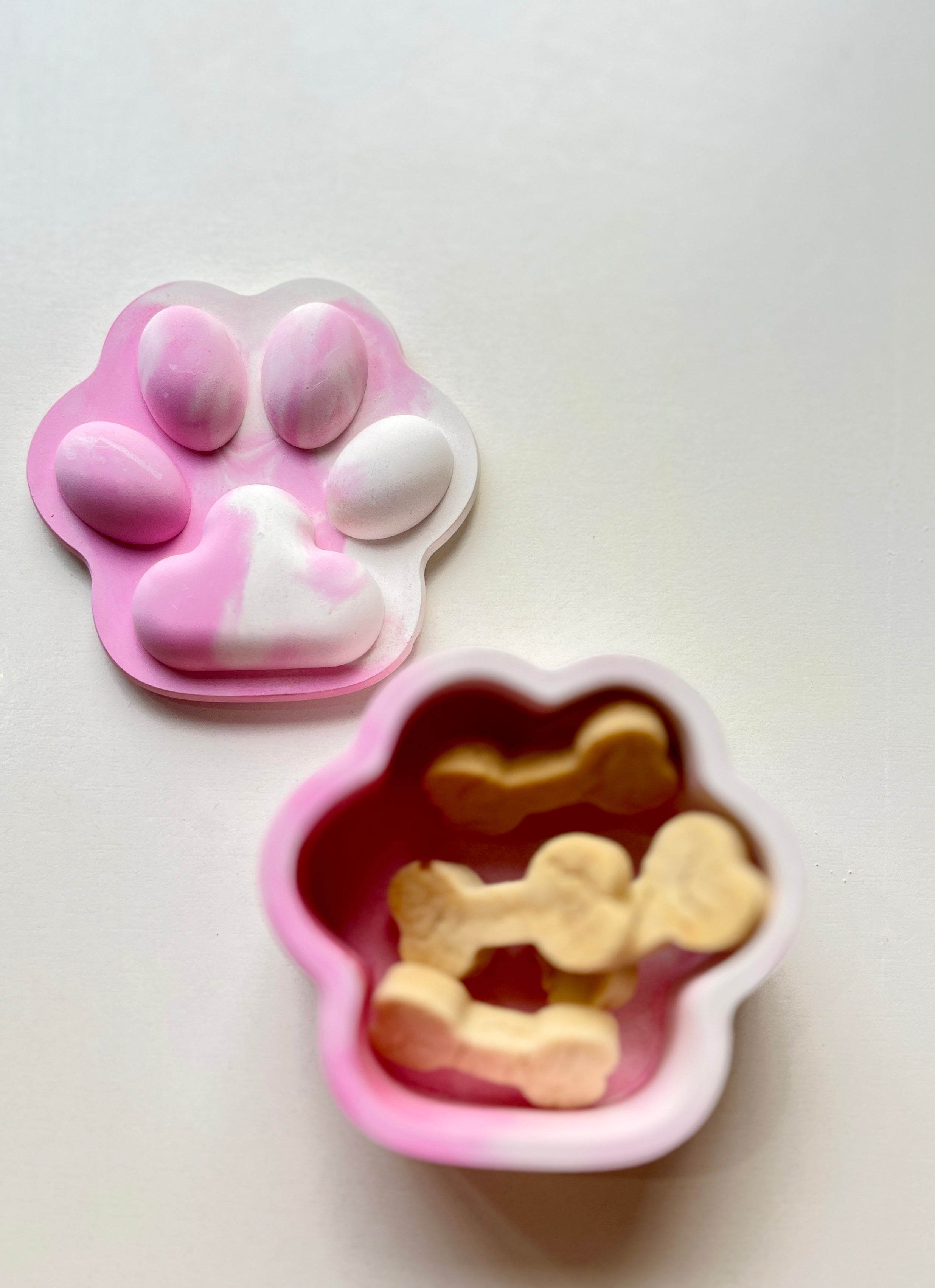 Pup-Prazzi – Concrete Vessel | Moonglow